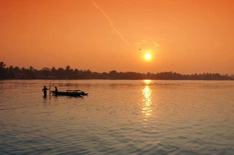Negombo Lagoon (Mangrove ) Boat Excursion - Timing and Value: Private for Up to Three People