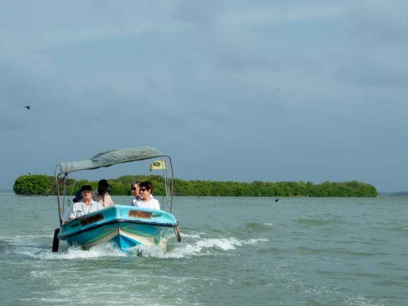 Negombo Lagoon (Mangrove ) Boat Excursion - What to Bring for a Sunny Mangrove Morning