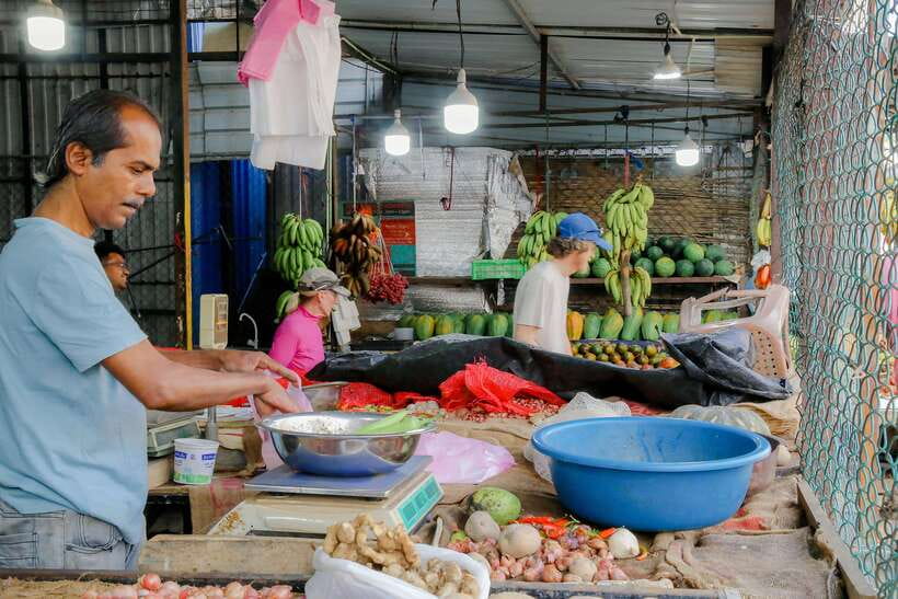 Negombo: Private Half-Day Tuk-Tuk Tour with Hotel Transfers - Sea Street and the Dutch Canal: Tamil life you can see in motion
