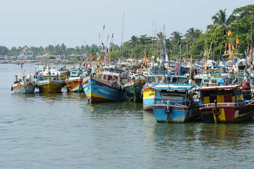 Negombo Private Tour: Market, Temples & Canal - Key Highlights You’ll Actually Feel