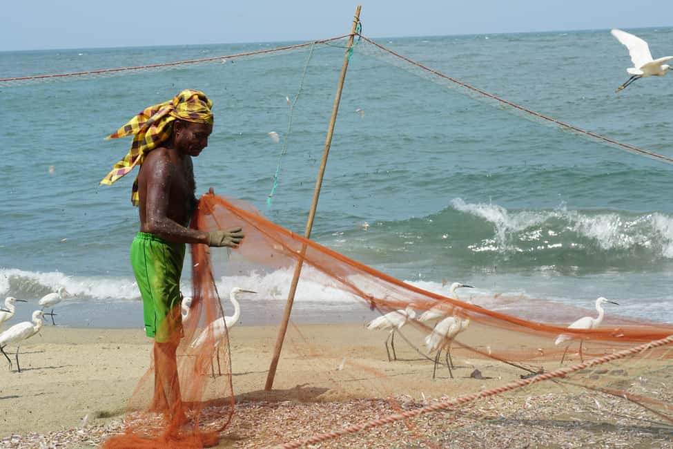 Negombo Private Tour: Market, Temples & Canal - Why Negombo Works So Well in 3–6 Hours