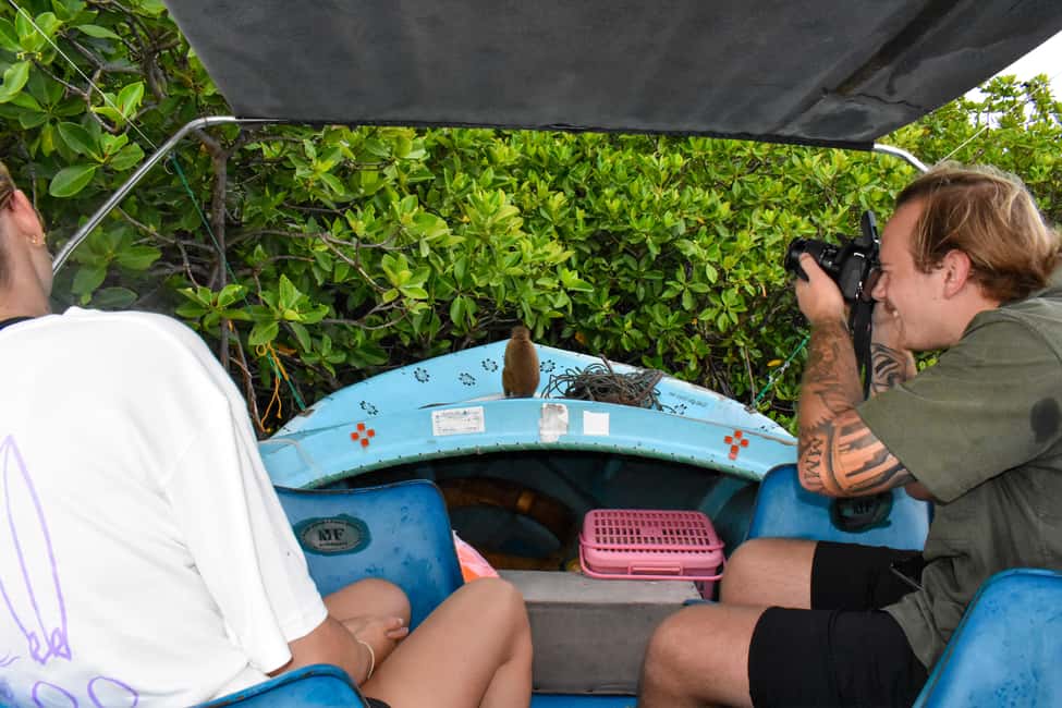 Negombo: Sunset lagoon boat tour with hotel transfers - Getting From Negombo to the Dutch Canal in One Easy Pull