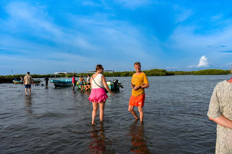 Negombo: Sunset lagoon boat tour with hotel transfers - Fruit in the Middle of the Lagoon: A Break That Actually Feels Local