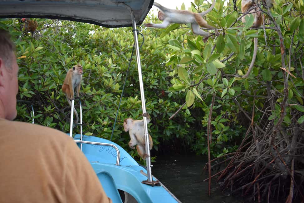 Negombo: Sunset lagoon boat tour with hotel transfers - FAQ