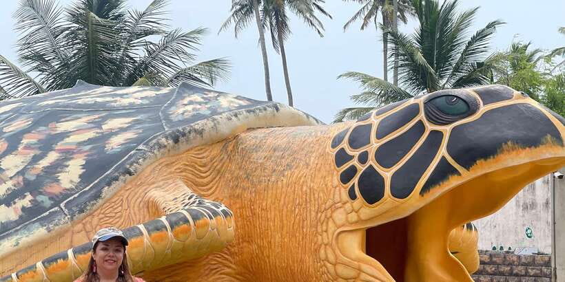Negombo: Turtle hatchery, River safari, moon stone & Galle - Planning Your Day: Negombo to Galle in 10 Hours
