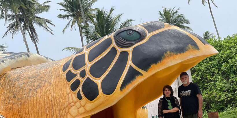 Negombo: Turtle hatchery, River safari, moon stone & Galle - Price and Value: What $85 Really Buys