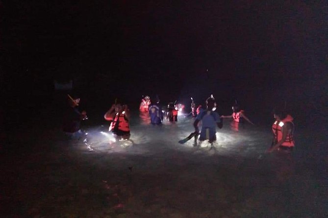 Night Snorkeling Experience in Mirissa - Key things to know before you go