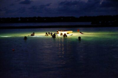 Night Snorkeling Experience in Mirissa - What you might see: turtles, octopus, and more nocturnal life