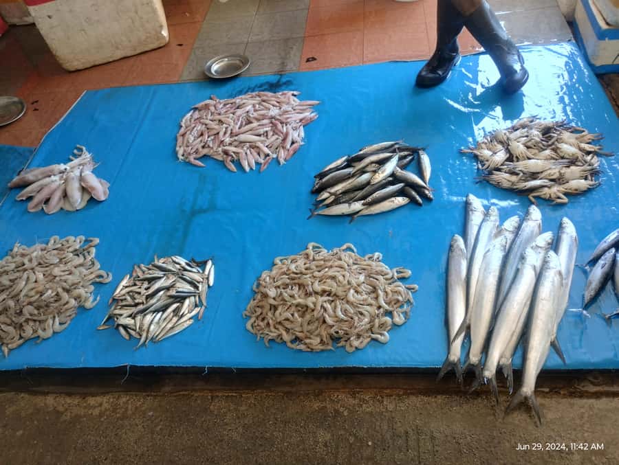 Nilaveli: Trinco City tour by Tuk Tuk - Small Boat Fish Market + public market time: snacks and real bustle