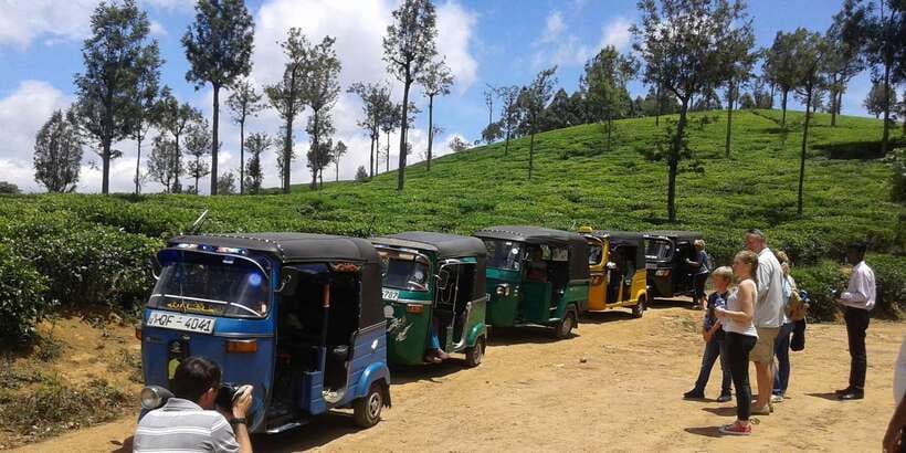 Nuwara Eliya: All-Inclusive Ella Sightseeing Private Tour - Little Adam’s Peak: the easy climb that delivers real payoff