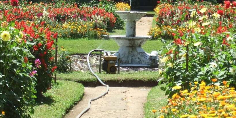 Nuwara Eliya: All-Inclusive Private Sightseeing Day Tour - Key Things I’d Block Out This Day For