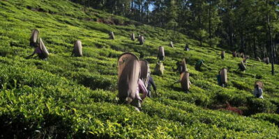 Nuwara Eliya: All-Inclusive Private Sightseeing Day Tour - Seetha Amman Temple: Spiritual Color and Temple Etiquette