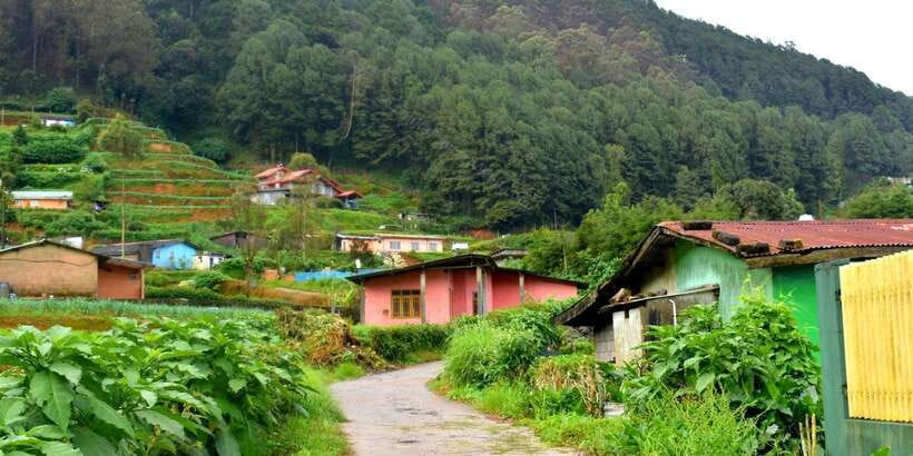 Nuwara Eliya: All-Inclusive Private Sightseeing Day Tour - Lunch in Nuwara Eliya: Fuel for the Afternoon Walks