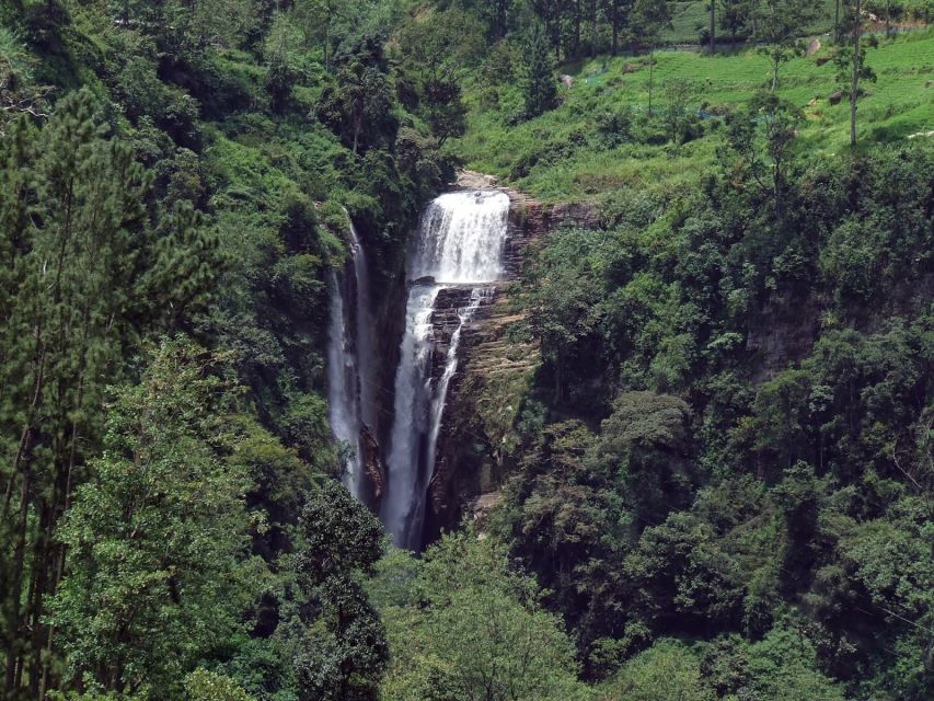 Nuwara Eliya: All-Inclusive Private Sightseeing Day Tour - Gregory Lake: Slow Down by the Water