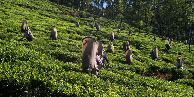 Nuwara Eliya: All-Inclusive Private Sightseeing Day Tour - Seetha Amman Temple: Spiritual Color and Temple Etiquette