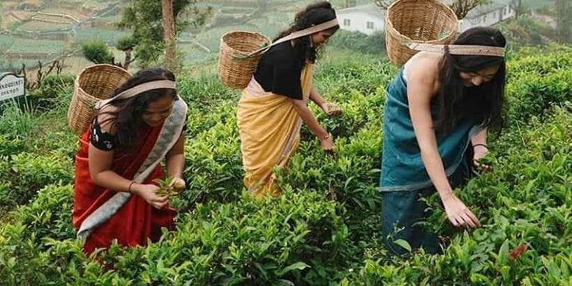 Nuwara Eliya Day Tour from Kandy (Private Tour) - Gregory Lake in Nuwara Eliya: calm time in Little England