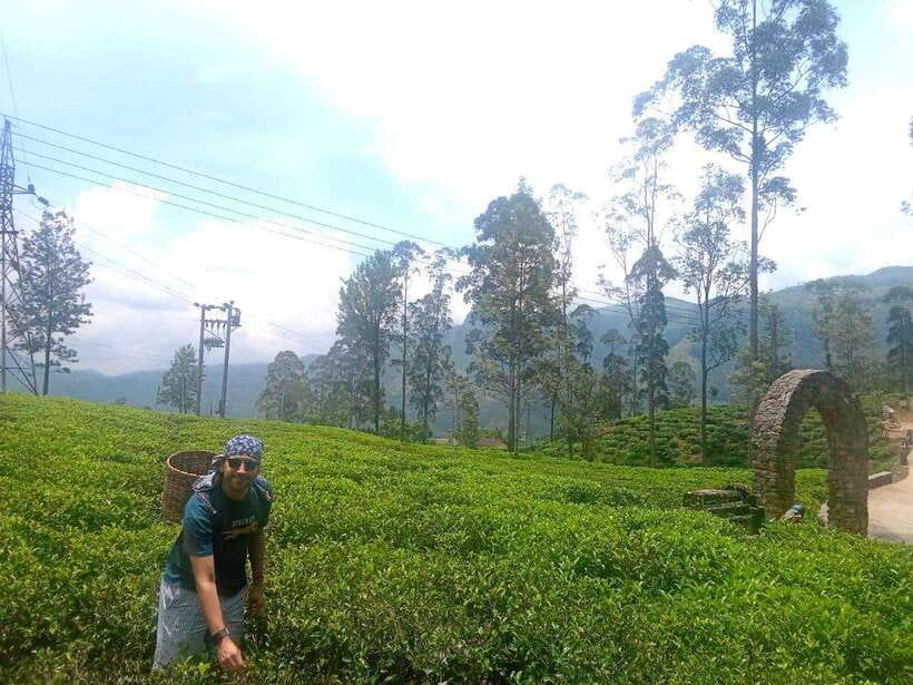 Nuwara Eliya Full day: 5Waterfalls, 2Tea Test & pick by TUK - Viewpoints, Upper Kothmale Reservoir, and the village crossing