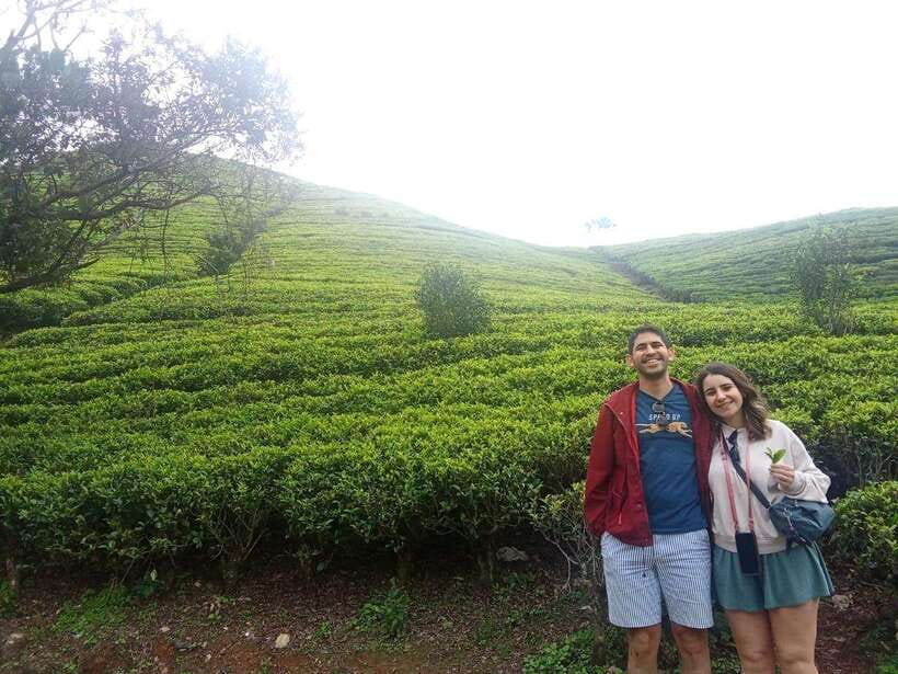 Nuwara Eliya Full day: 5Waterfalls, 2Tea Test & pick by TUK - Who this tour suits best