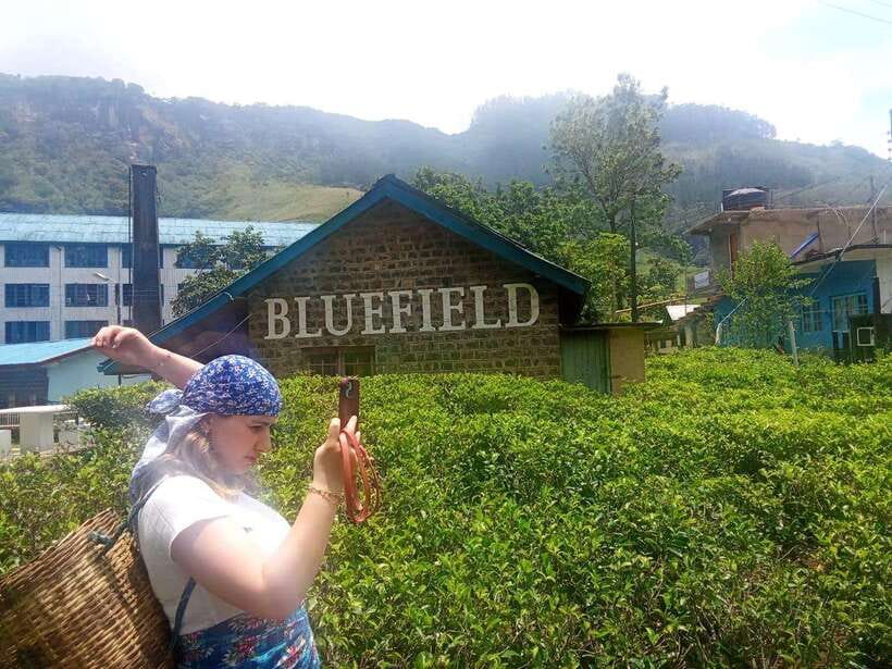Nuwara Eliya Full day: 5Waterfalls, 2Tea Test & pick by TUK - Tips to make the most of a cool-climate waterfall day