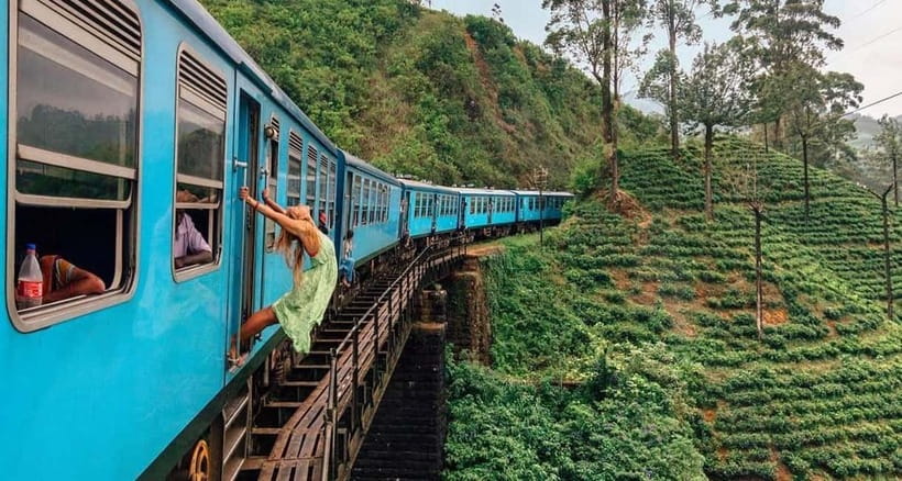 Nuwara Eliya Full day: 5Waterfalls, 2Tea Test & pick by TUK - Tea factories (and tea testing) at Bluefield, Damro, and Oak Ray