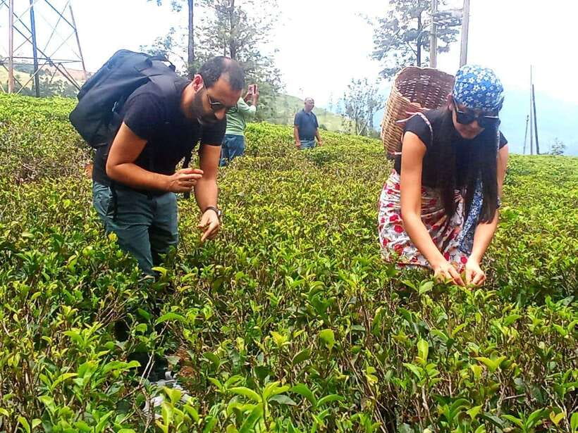 Nuwara Eliya: Tea Factory and Pickle Waterfalls Tuk Tuk Tour - Price and value: is $33 a fair deal?
