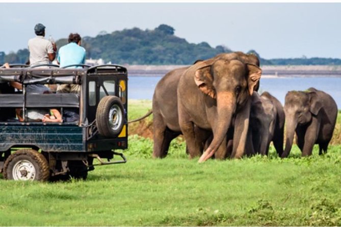 One day Yala National Park from Galle/Hikkaduwa/Mirissa/Unawatuna - Entering Yala National Park: Why Four Hours Feels Like the Right Bet