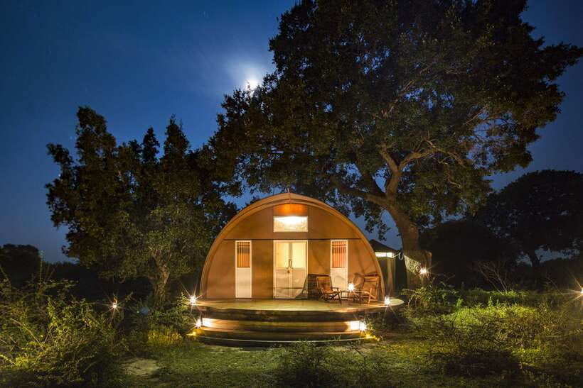 Overnight Treehouse Safari at Yala National Park - Yala’s Leopard Country, From a Treehouse at Leopard Nest