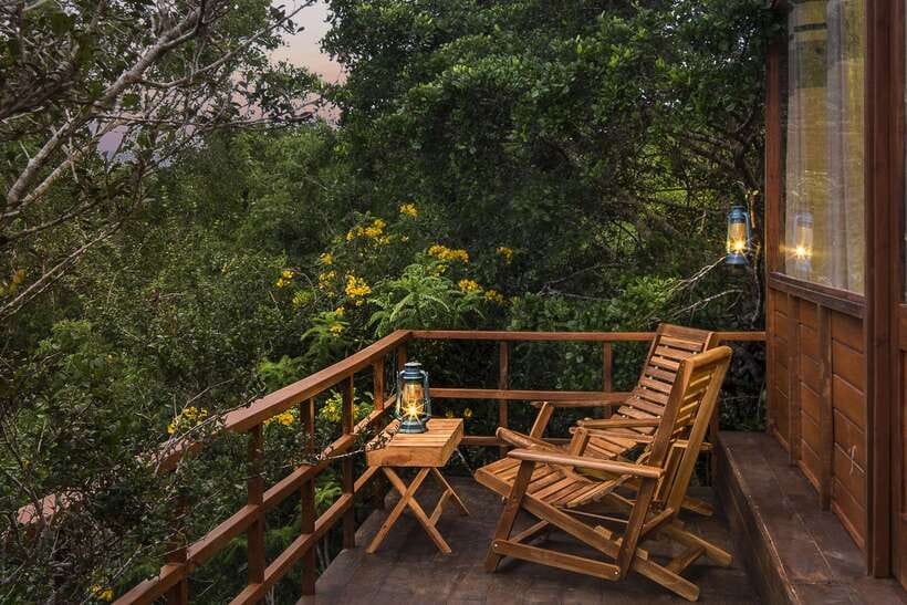 Overnight Treehouse Safari at Yala National Park - Day 2: Dawn Nature Trek, Ceylon Tea, and Birdwatching by the Lake