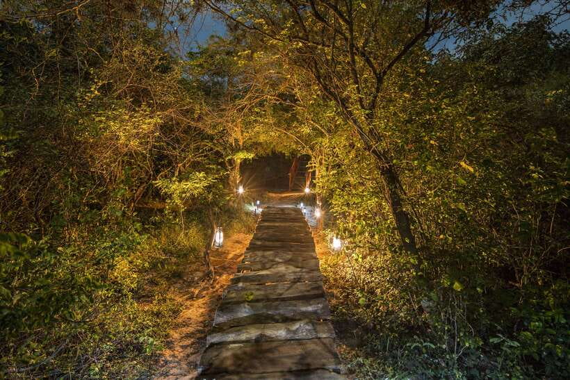 Overnight Treehouse Safari at Yala National Park - Who This Yala Treehouse Safari Fits Best (and Who Should Skip It)