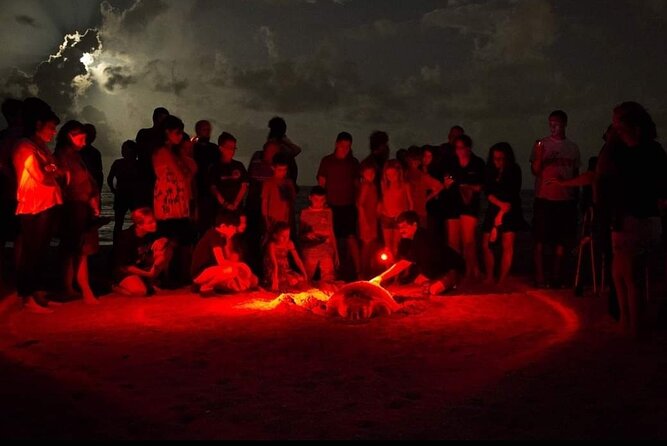 Paradise Turtle Watching Tours - The Guide Experience: Sujith’s Explanations and the Calm You Need at Night