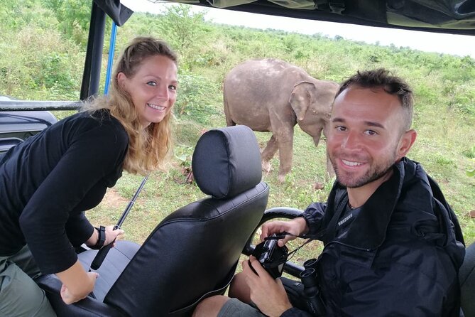 Paradise Udawalawe Safari Tours - Udawalawe From Tangalle: What This Half-Day Really Means