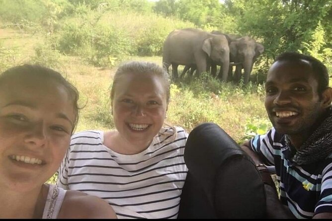 Paradise Udawalawe Safari Tours - Safari Jeep and Park Entrance: The Costs You Handle on Site