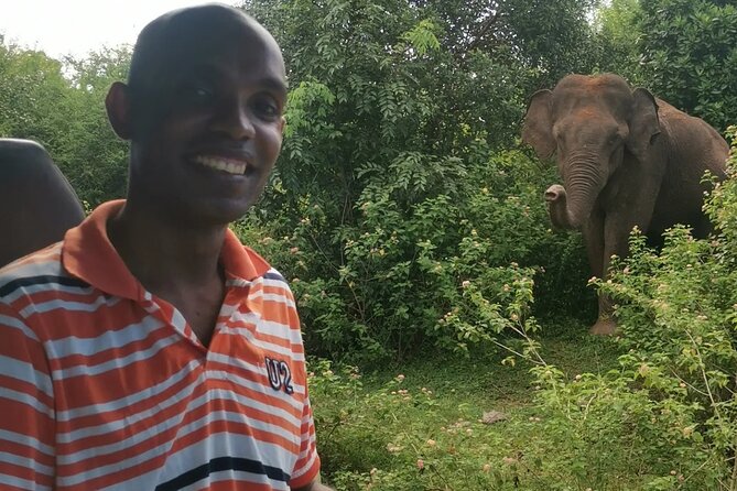 Paradise Udawalawe Safari Tours - Inside Udawalawe: 3 Hours for Elephants, Crocs, and Birds