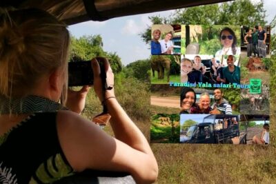Paradise Yala Safari Tours - Yala Safari From Galle: What You’re Actually Buying