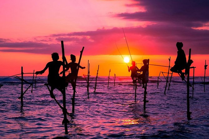 Personal Driver For Your Two Weeks Round Tour In Sri Lanka - Your two weeks: the best of cultural sites, wildlife parks, and tea-country views