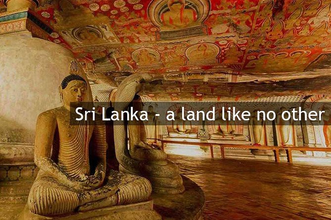 Personal Driver For Your Two Weeks Round Tour In Sri Lanka - Nine Arches Bridge, Little Adam’s Peak, and Ella Rock: the viewpoint ladder