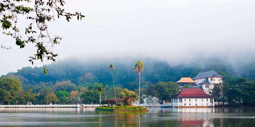 Pinnawala & Kandy Day Tour from Negombo - Royal Botanical Gardens in Kandy: plant nerd heaven, even if you’re not one