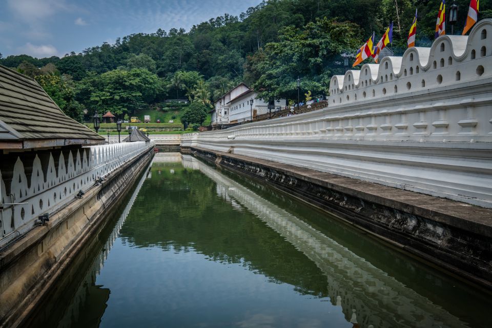 Pinnawala & Kandy Day Tour from Negombo - Spice Garden walk: the science of everyday plants