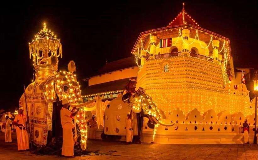 Pinnawala,Kandy Day Tour from Colombo/Negombo - How the early Kandy pickup sets the tone