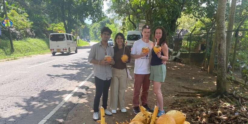 Pinnawala,Kandy Day Tour from Colombo/Negombo - The long day reality: driving time, traffic, and late returns