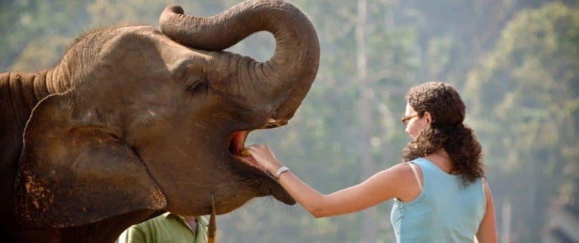 Pinnawala,Kandy Day Tour from Colombo/Negombo - Price and logistics: does $62 feel fair?