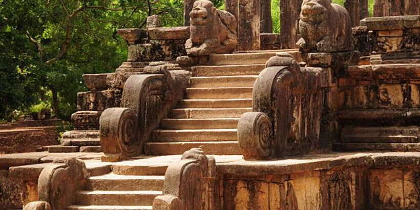 Polonnaruwa Day Tour With Minneriya NP Elephant Safari - Key points to know before you go
