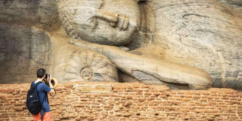 Polonnaruwa Day Tour With Minneriya NP Elephant Safari - Who should book this day tour, and who should skip it
