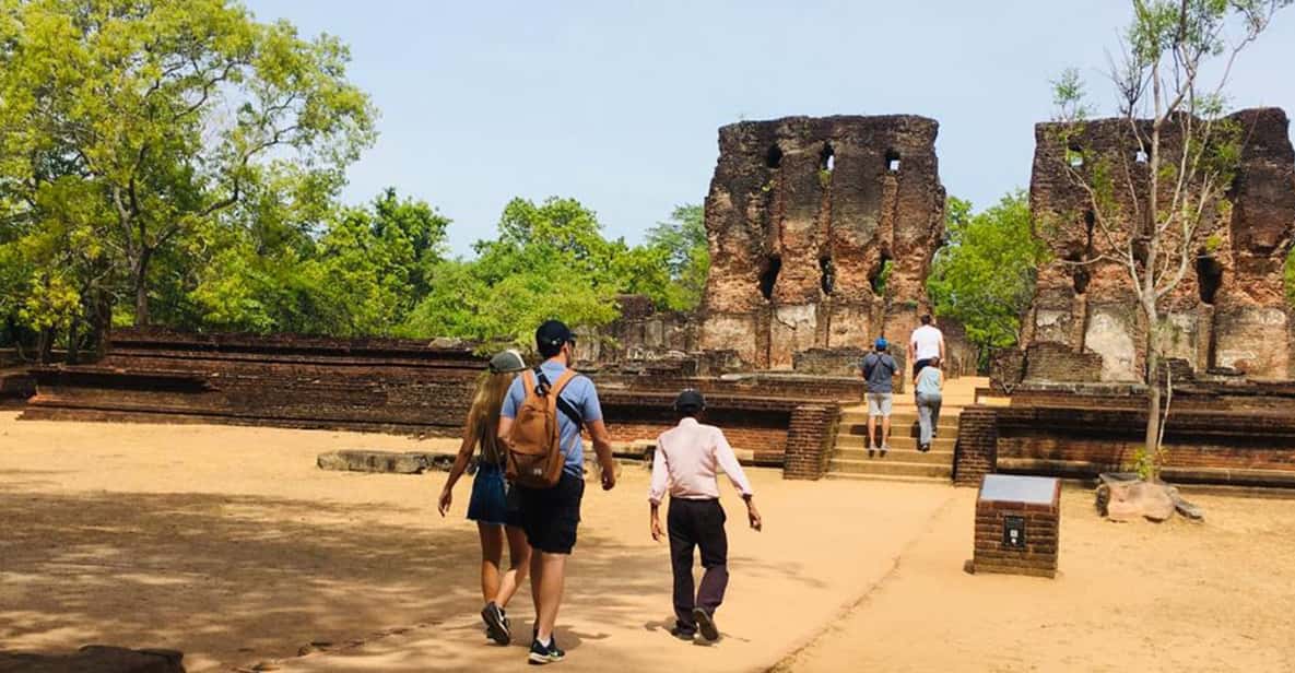 Polonnaruwa Sight Seeing Tour and Minneriya Elephant Safari - Entrance Fees and the Final Bill: Understanding the Real Value