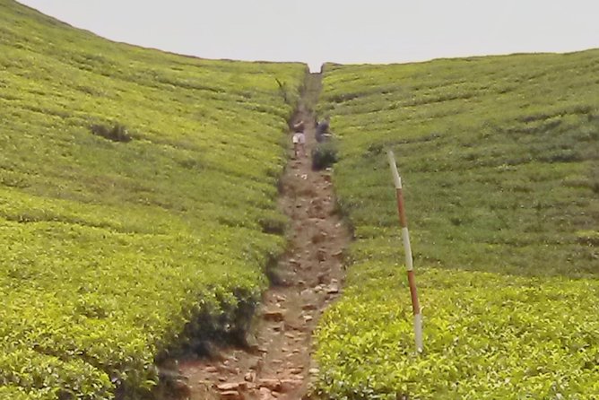 Private Day trip Kandy & pinnawala with your selected attractions - Why Kandy works as a one-day hit from Colombo