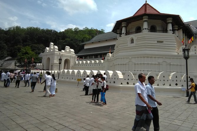 Private Day trip Kandy & pinnawala with your selected attractions - Private driving, English narration, and the real meaning of “customizable”