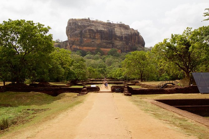 Private Day Trip to Sigiriya, cave and National park Safari Tour - Minneriya National Park Safari: Elephant Search Takes Time