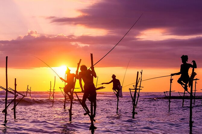 Private Day Trip to Yala National Park from Colombo - Dinner Included, Alcohol Not: How the Evening Fits the Day