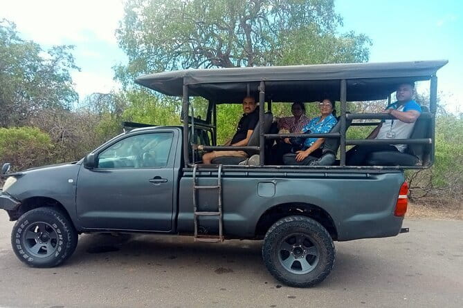 Private Full Day Udawalawe Safari Trip with Lunch - Key highlights at a glance