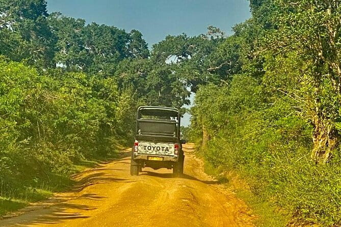 Private Full Day Udawalawe Safari Trip with Lunch - How the timing works (10:30 start, long day pace)